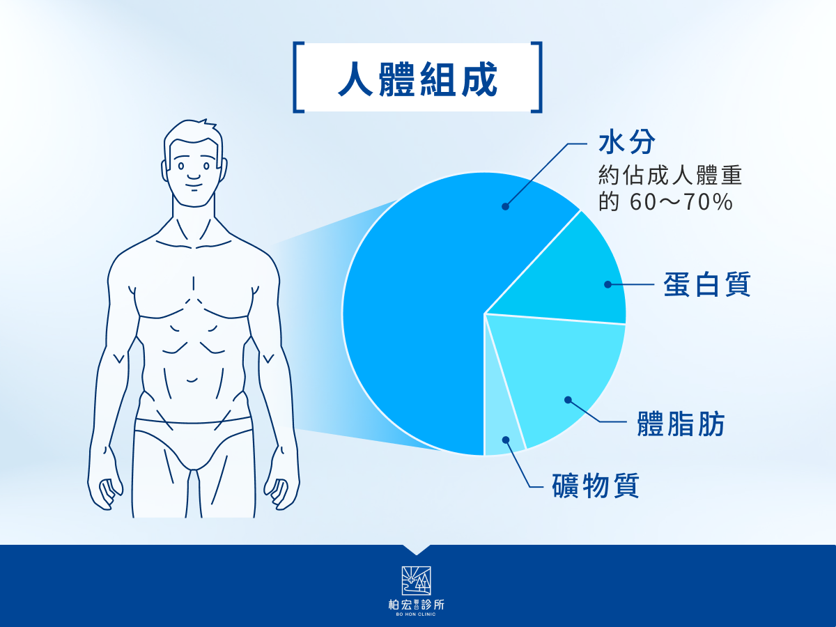 人體組成